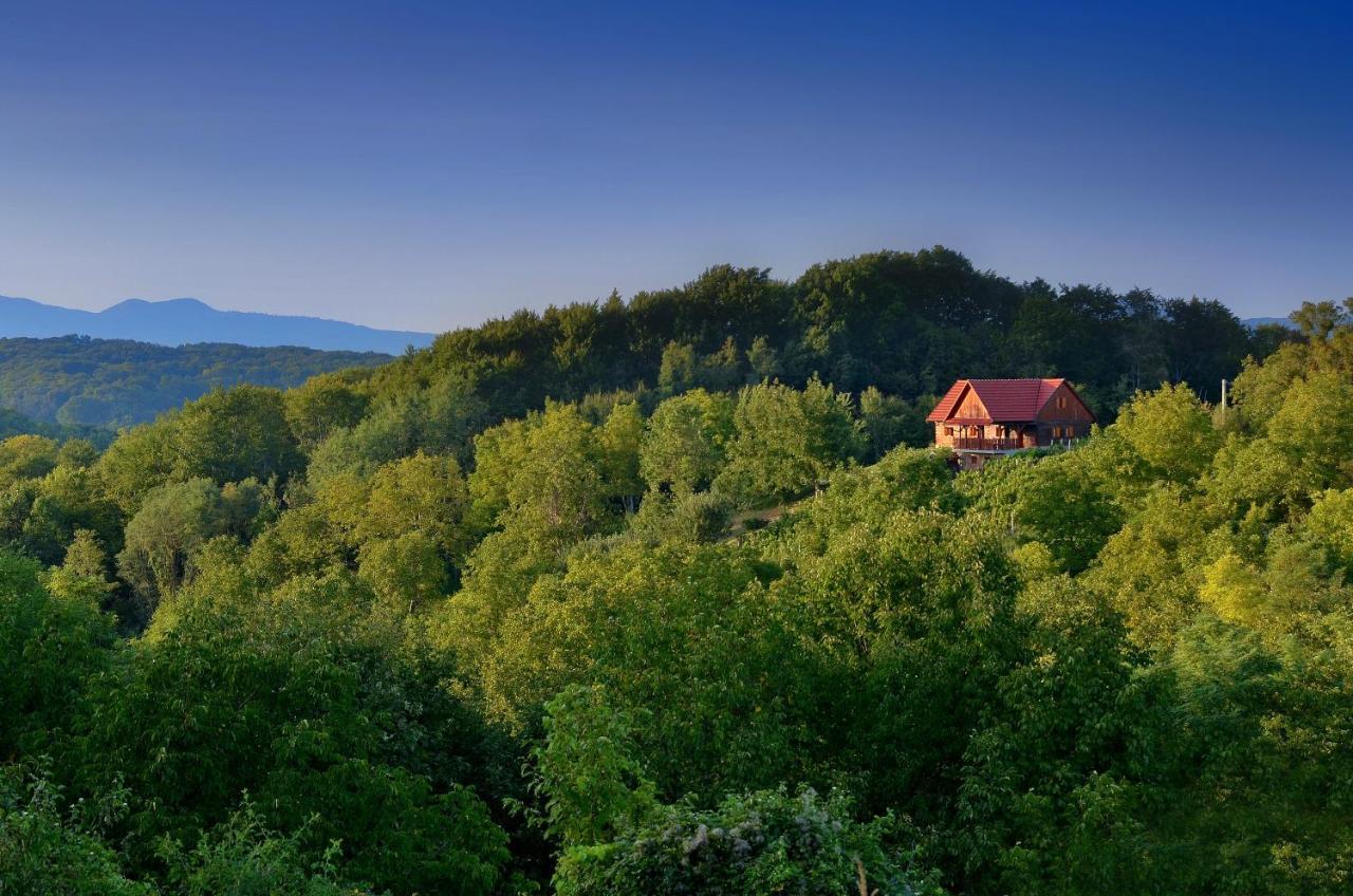 Green Silence Bedenica Exterior photo