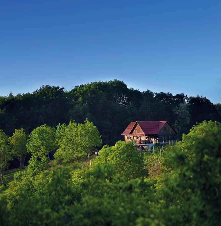 Green Silence Bedenica Exterior photo